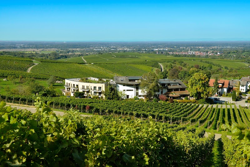 Hotel Rebenhof in Baden-Baden, Germany
