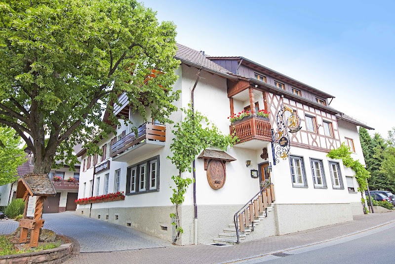 Hotel Restaurant Engel in Appenweier, Germany
