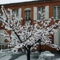 Hotel Riquet