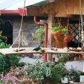 Hotel Roca Dura