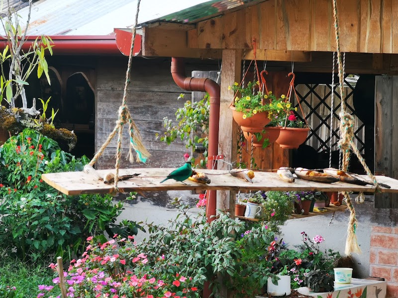 Hotel Roca Dura in Coto Brus, Costa Rica