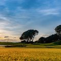 Hotel Saint-Jean-de-Monts Golf Club