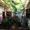 Hotel San Andres