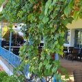 Hotel San Miguel
