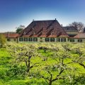 Hotel Schloss Heinsheim