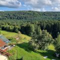 Hotel Schwarzwald-Gasthof Hirsch
