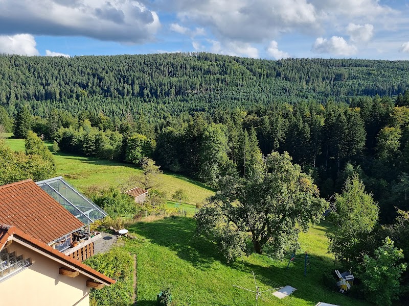Hotel Schwarzwald-Gasthof Hirsch in Bad Wildbad, Germany