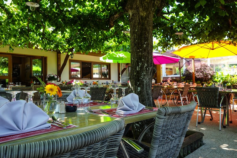 Hotel Tilleuls in Montauban, France
