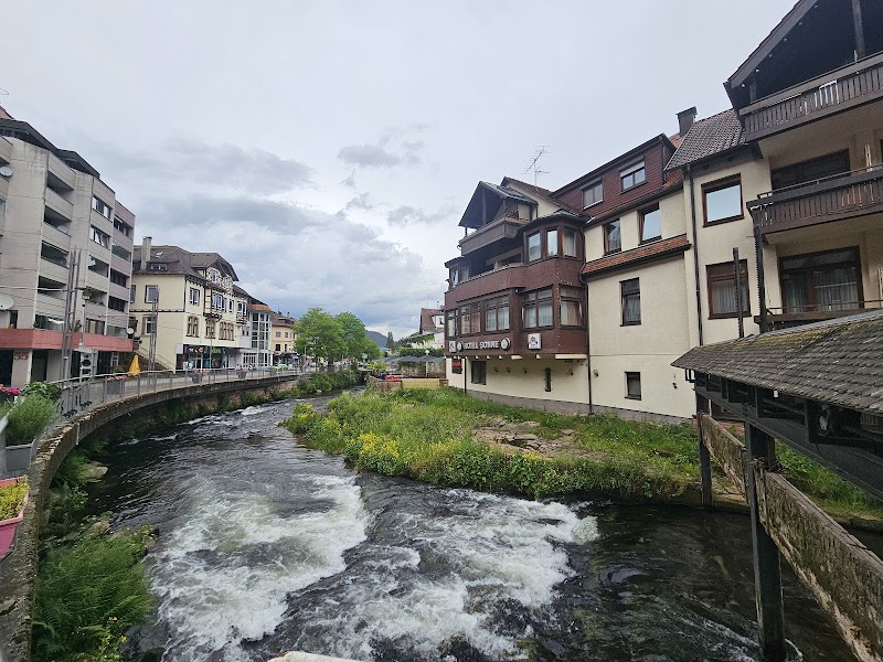 Hotel Traube in Bad Wildbad, Germany