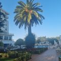 Hotel Vimar