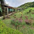 Hotel Vista Verde