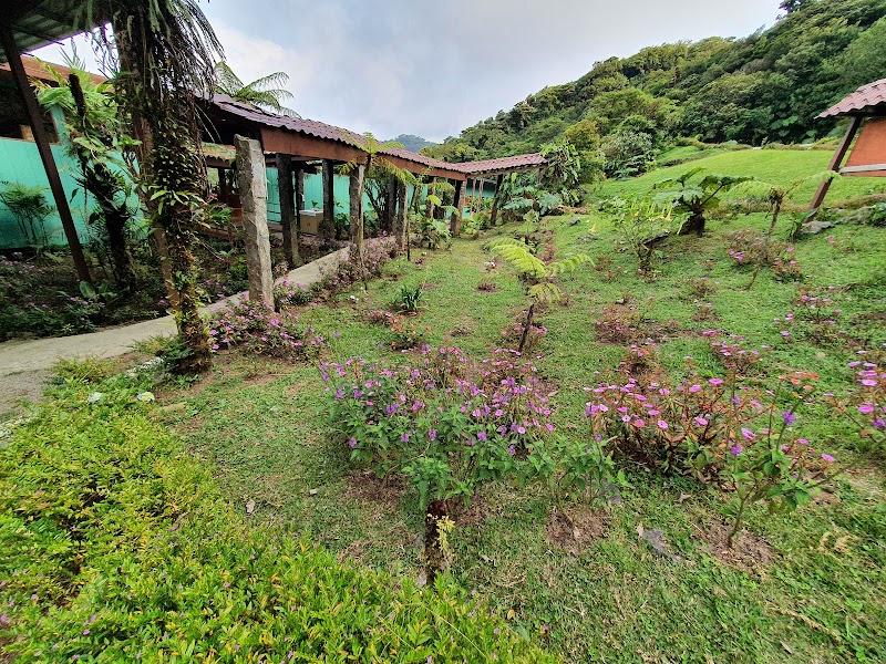 Hotel Vista Verde in Guapiles, Costa Rica