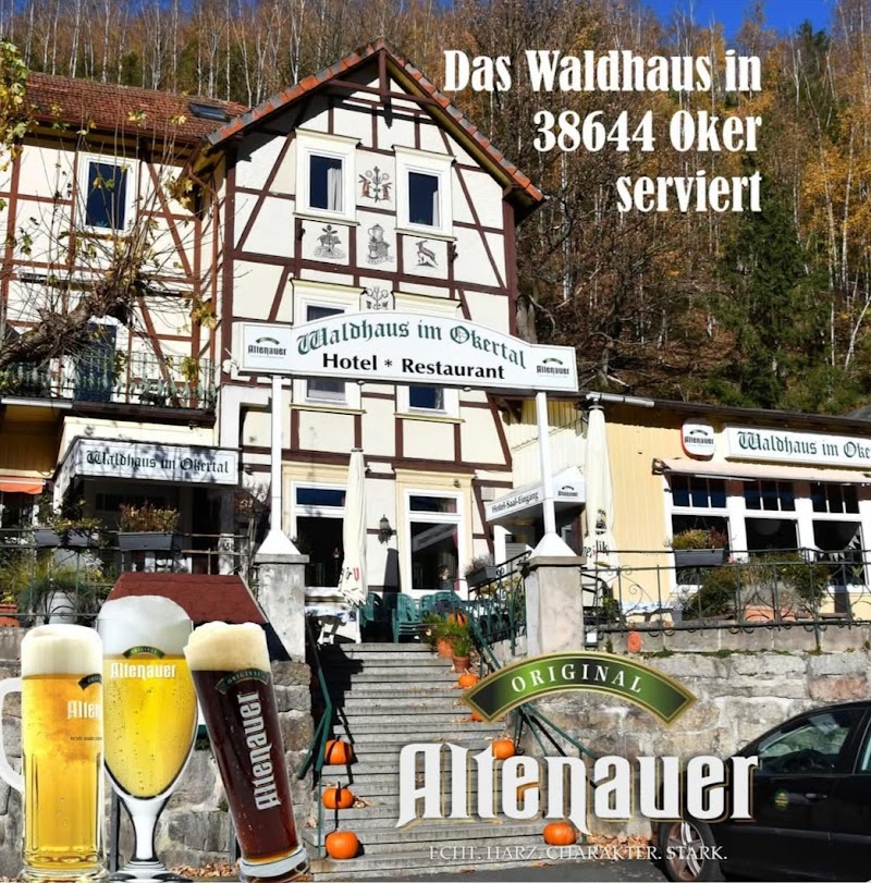 Hotel Waldhaus in Bad Harzburg, Germany