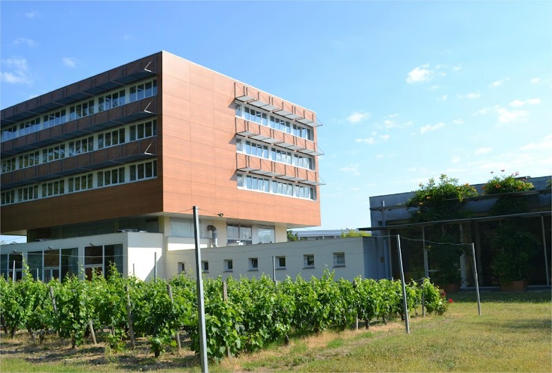 Hotel de Guyenne in Talence, France