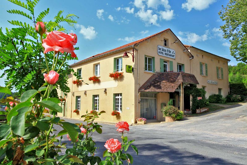 Hôtel du Lion d'Or in Perigueux, France
