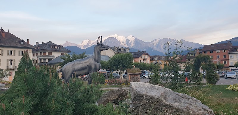 Hotel du Mont-Blanc in Sallanches, France