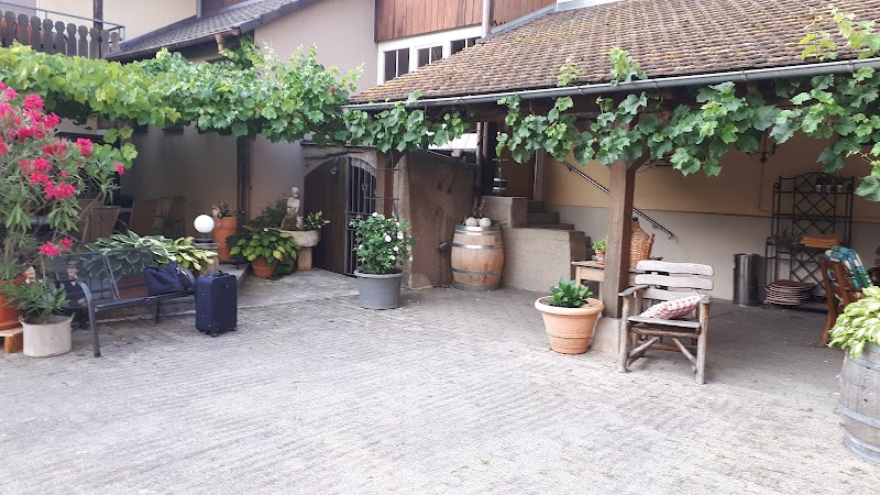 Hotel zum Schwanen in Bad Krozingen, Germany