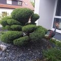 Hotel zur Riss