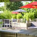 Ibis Abbeville