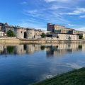Ibis Cognac