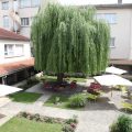 Ibis Styles Nancy Centre Gare