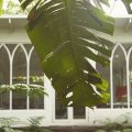 Iguana Lodge & Spa Beach Resort