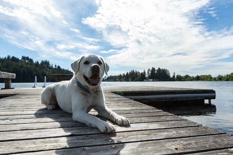 Inn on Long Lake in Nanaimo, Canada