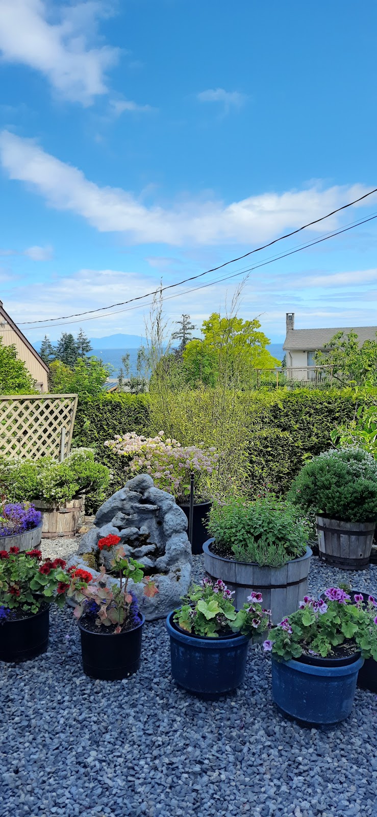 Island View B&B in Nanaimo, Canada