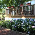 J. Paule’s Fenn Inn