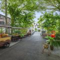 JW Marriott Khao Lak Resort & Spa