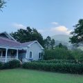 Jacaranda Inn