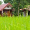 Jamsai Resort