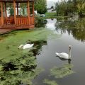 Johnson Mill Bed & Breakfast