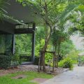 Kanvela Resort