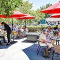 Kelley & Young Wine Garden Inn
