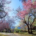Khum Khun Wang Resort
