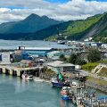 Kodiak Brown Bear Center