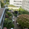 Kronen Hotel