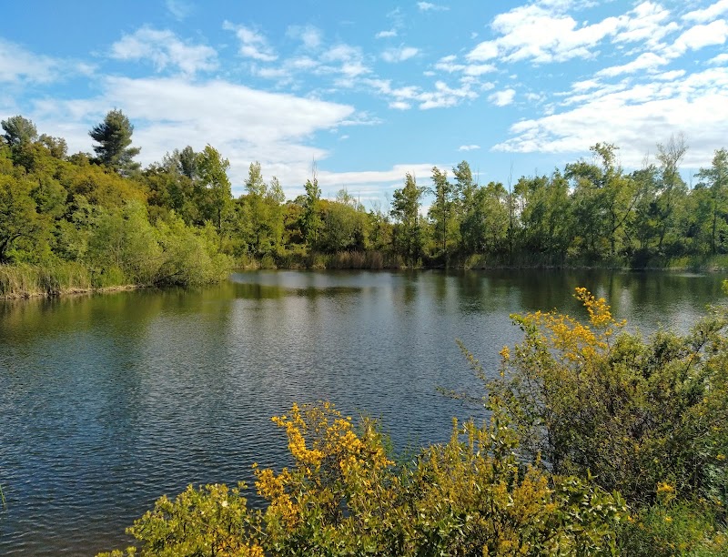 La Bouverie in Roquebrune-sur-Argens, France