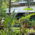 La Chosa del Manglar