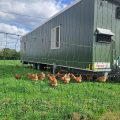La Ferme Carrée