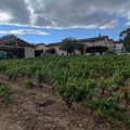 La Maison Des Vignes