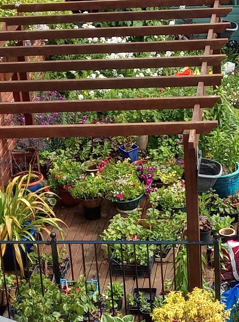 Laurels in Oswestry, United Kingdom