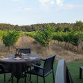 Le Clos des Vignes