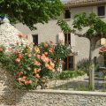 Le Moulin de Lavon