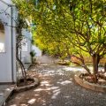 Lemon Tree Apartments