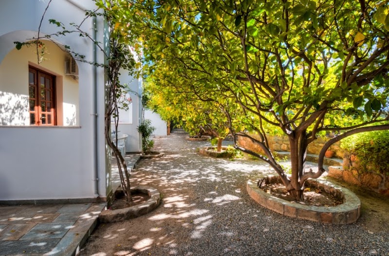 Lemon Tree Apartments in Pefki, Greece