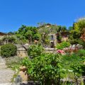 Les Rosées