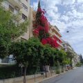 Lion Hotel Apartments