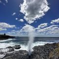 Little Blowhole B&B